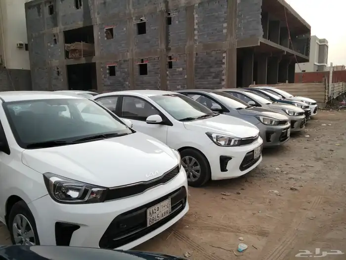 مجموعة بيجاس2022 11