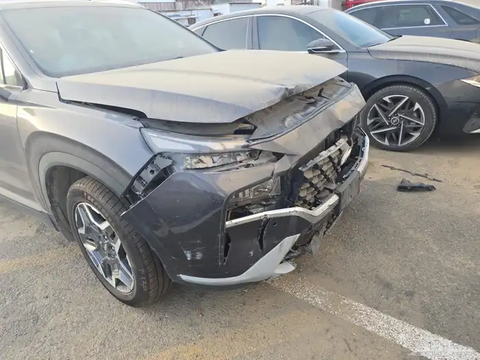 سنتافي 2022 10