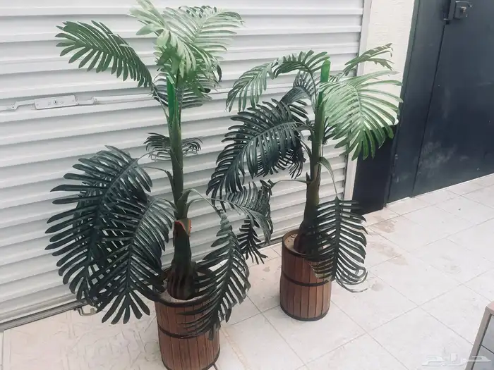 للبيع مكيف وسيكل اثنين وطاولتين وشجر صناعي 1