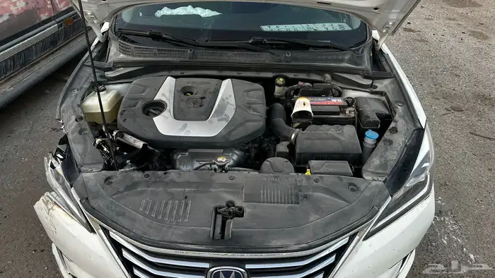 شانجان ايدو 2020 مصدوم 2