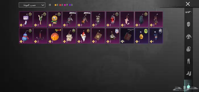 حساب ببجي للبيع 20