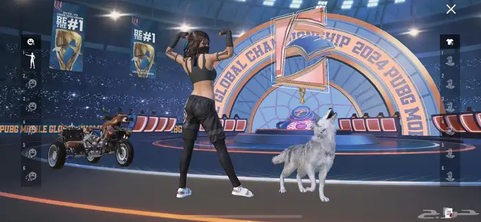 حساب ببجي للبيع 3