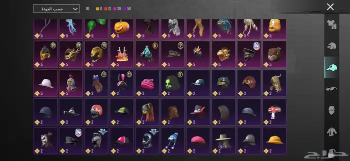 حساب ببجي للبيع 14