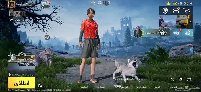 حساب ببجي للبيع 0