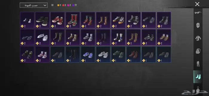 حساب ببجي للبيع 19