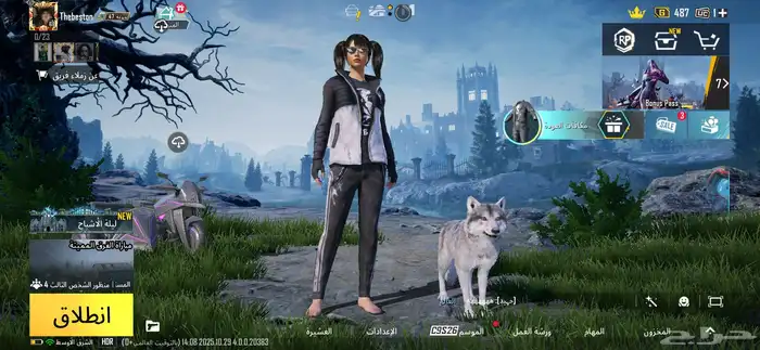 حساب ببجي للبيع 15