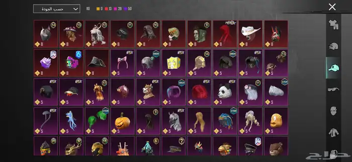 حساب ببجي للبيع 13