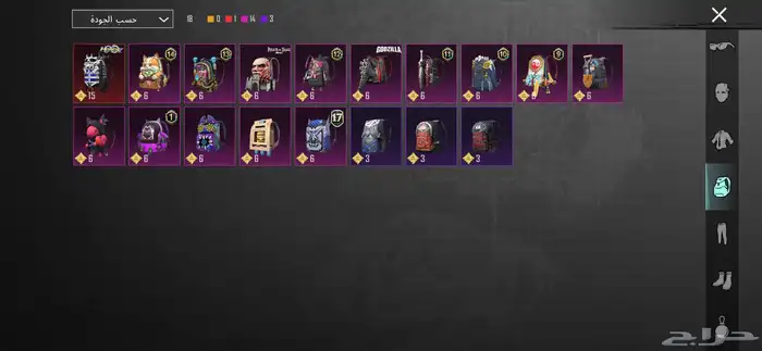 حساب ببجي للبيع 17