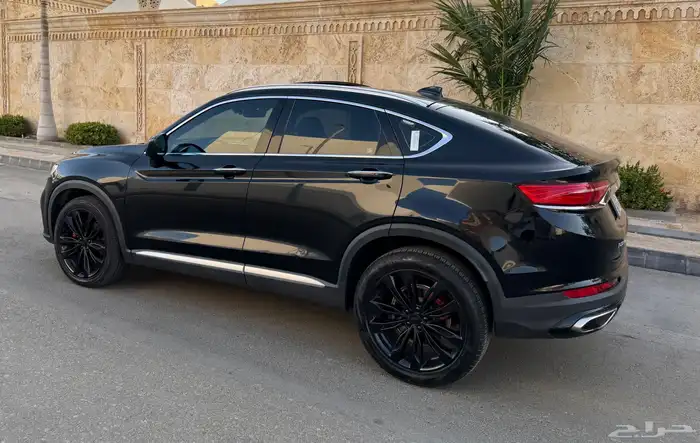 جيلي_توجيلا_2022_فل 25