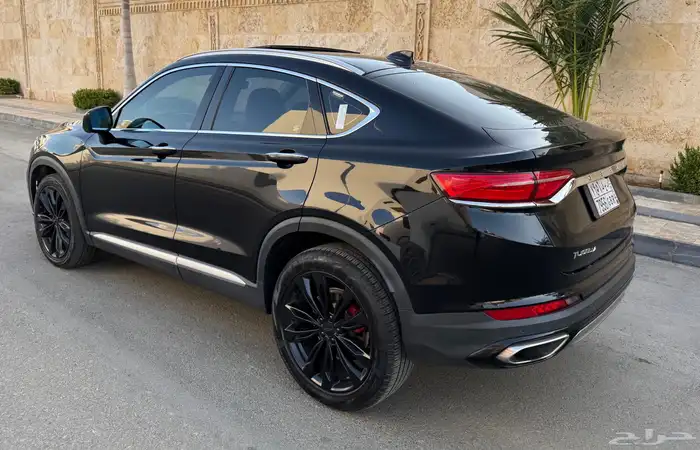 جيلي_توجيلا_2022_فل 24