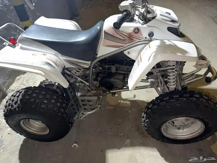 ميني بانشي 1