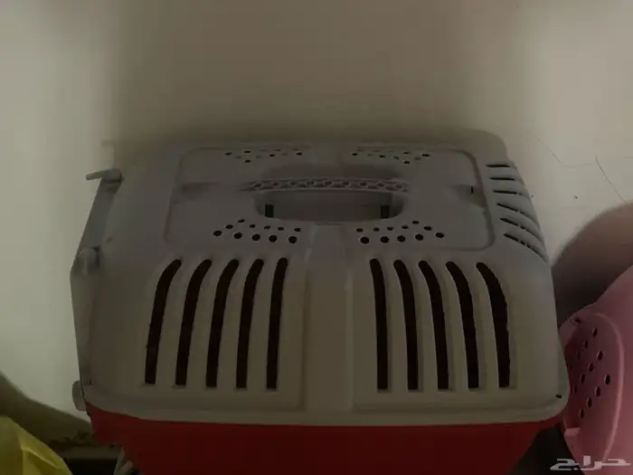 مستلزمات قطط 3