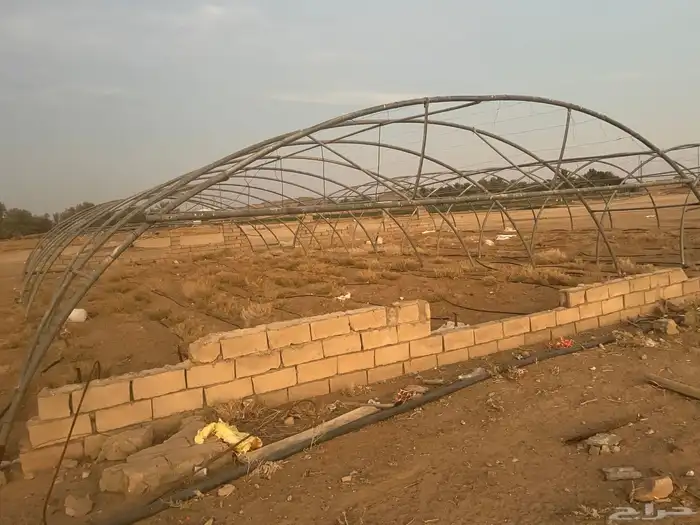 بيوت محميه 1