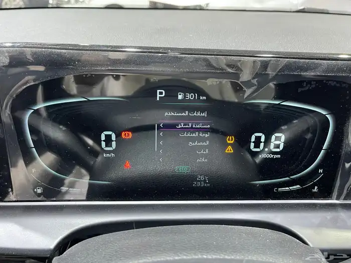 سيلتوس 2025 18