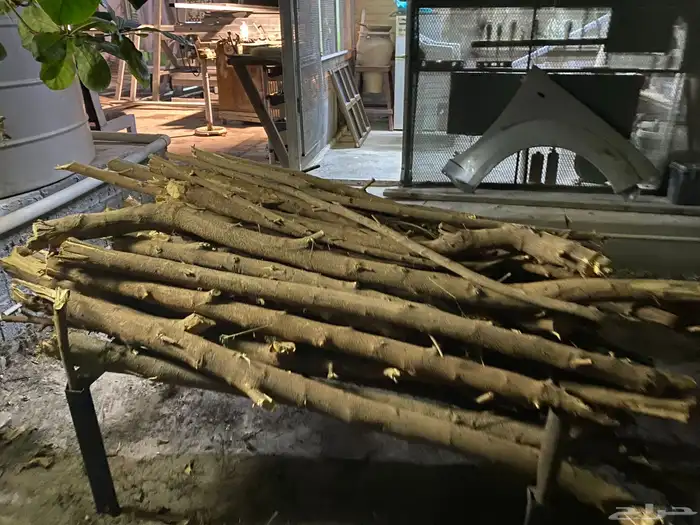 حطب من شجر النيم 3