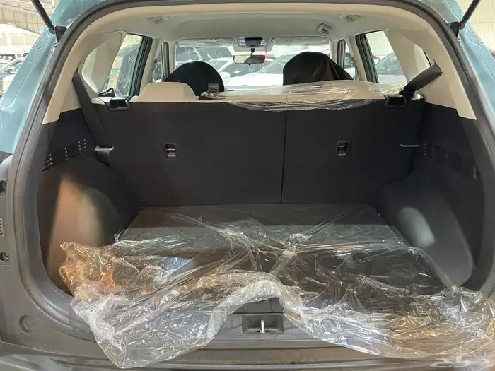 سيلتوس 2025 15