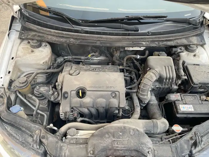 سيراتوا للبيع 17