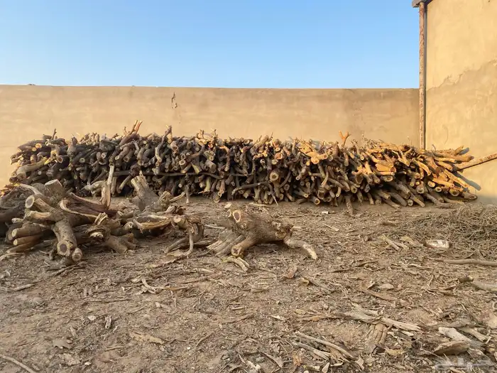 سياره تويوتا 0