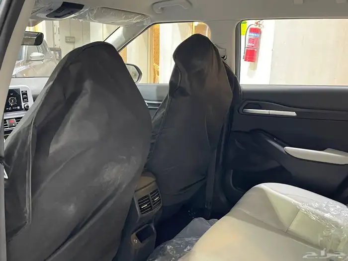 سيلتوس 2025 11