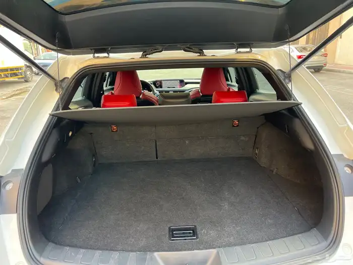 لكزسUX موديل 2019 فل كامل بنزين 39