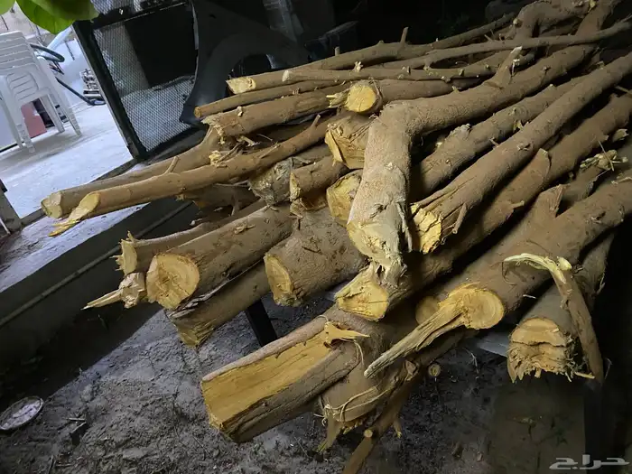 حطب من شجر النيم 2