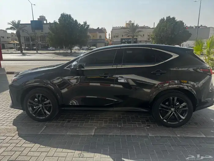 لكزس NX 2024 6