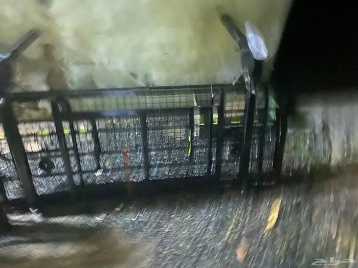 الجموم حي النخيل 1