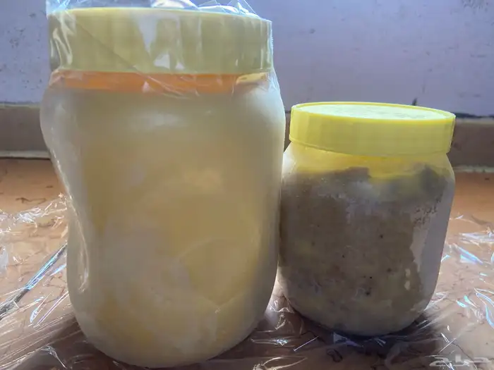 سمن بقر كفو الموقع ( بيشه ) 0