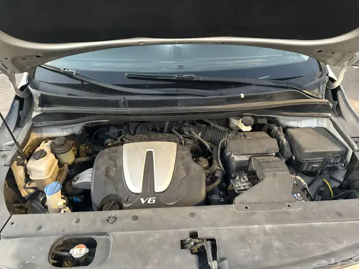 كيا كرنفال عائلي للبيع 30