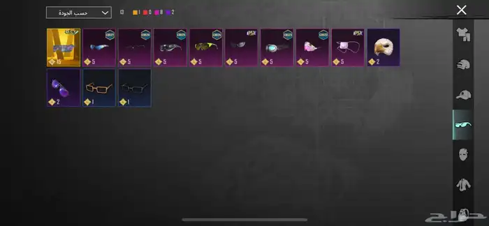 حساب ببجي للبيع 20