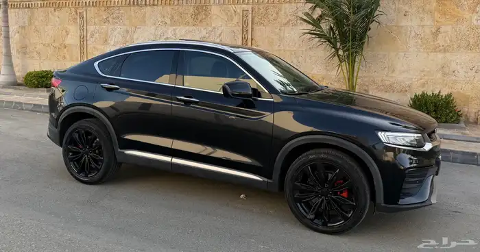 جيلي_توجيلا_2022_فل 12