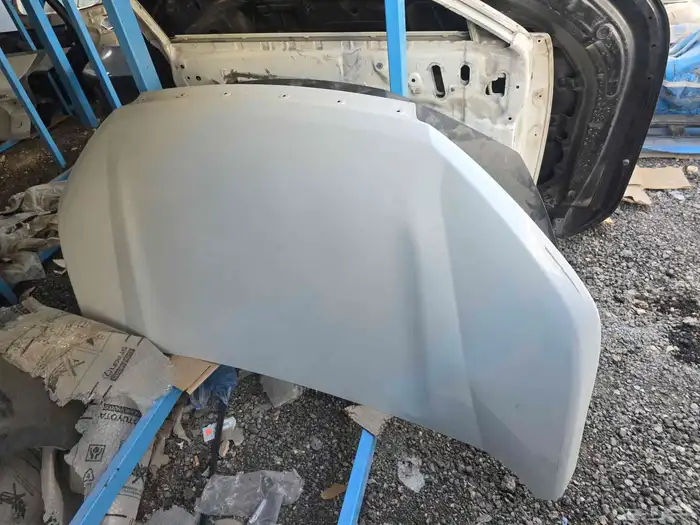 كبوت فيلوز ابيض لولوي2021-2023 0