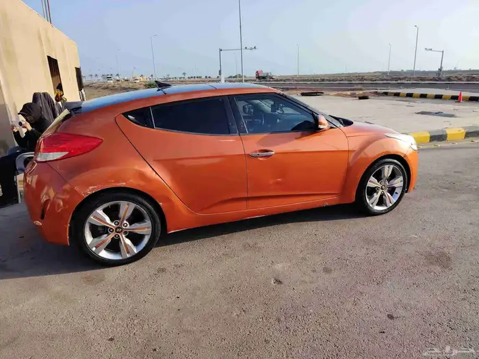 فيولستر 2013 5