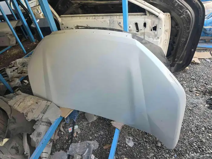 كبوت فيلوز ابيض لولوي2021-2023 1