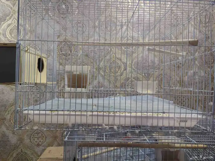 اقفاص حجم 600 للبيع مستعمله ونظيفه مره العدد 20 قفص 1