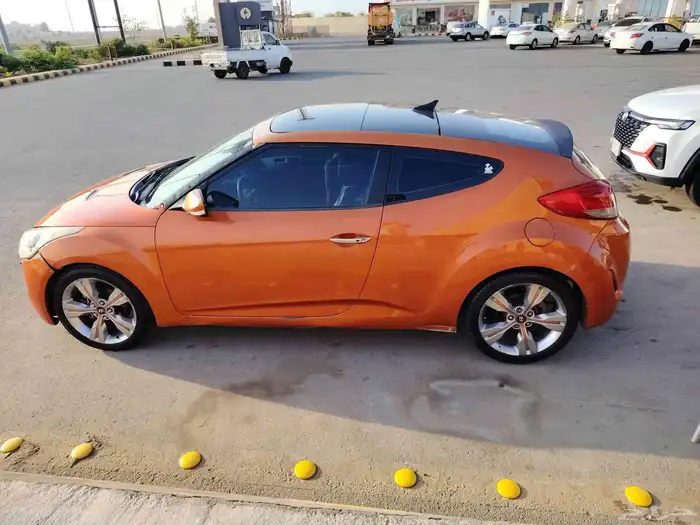 فيولستر 2013 1