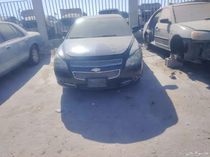 مالو تشليح فقط 0