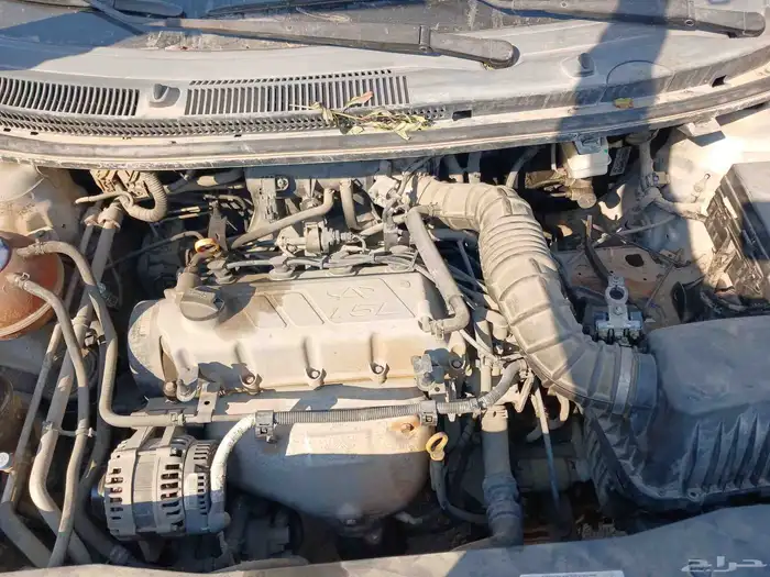 شيري اريزو 3. 2020 4