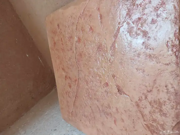 صبة مطبوعة صبة ديكورات حديقة 0