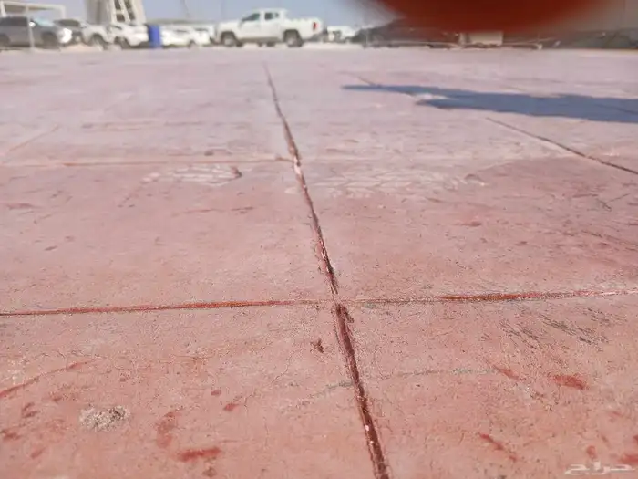 صبة مطبوعة صبة ديكورات حديقة 8