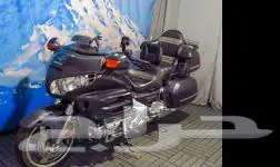 قولد وينق للإيجار اليومي أو الشهري 3