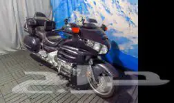 قولد وينق للإيجار اليومي أو الشهري 0