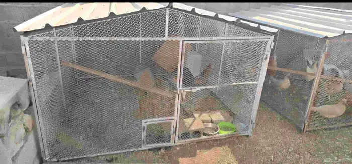 شبوك للبيع 2