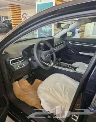 جيلي امجراند ستاندر 2025 6