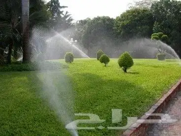 منسق حدائق 1