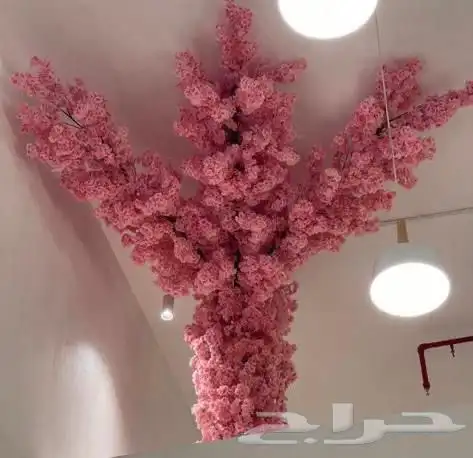 شجر دي ورات حسب الطلب 2