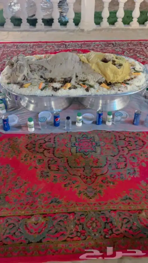 قعدان مرابي مزرعه 7