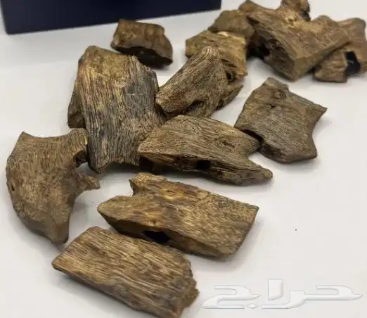 عود الكينام طبيعي 0