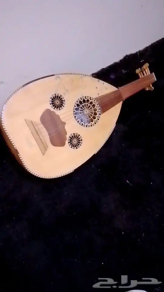 سجل عود مصري كاميرا  كاميرا تصوير 8