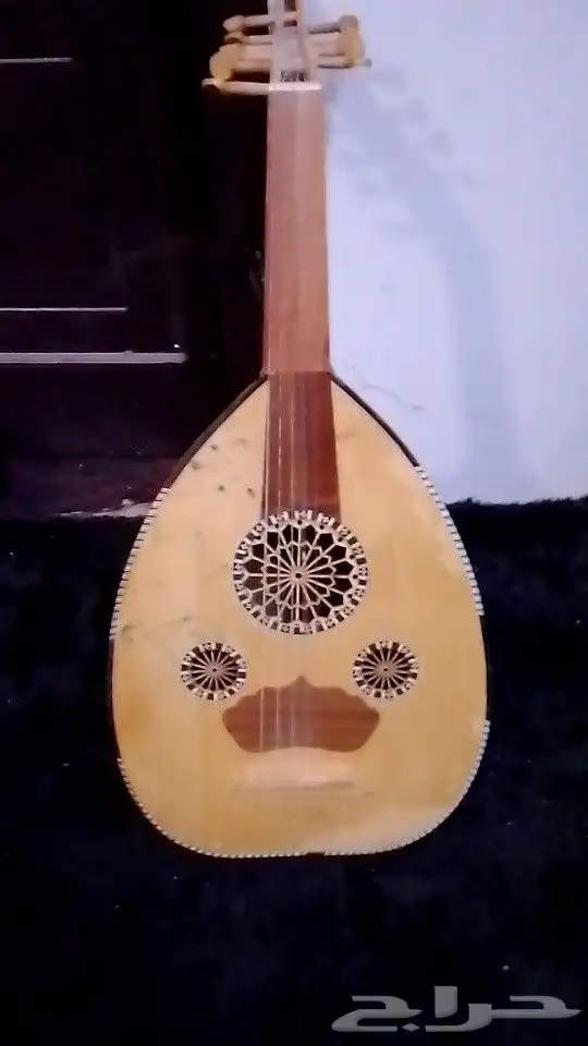 سجل عود مصري كاميرا  كاميرا تصوير 7